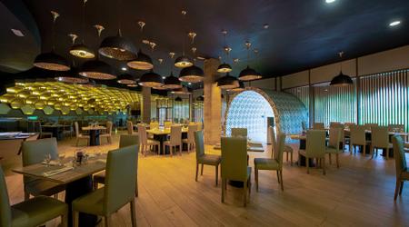 Gira Rodizio Gira Rodizio