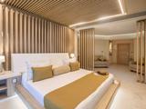 Club Platinum Jr Presidential Suite