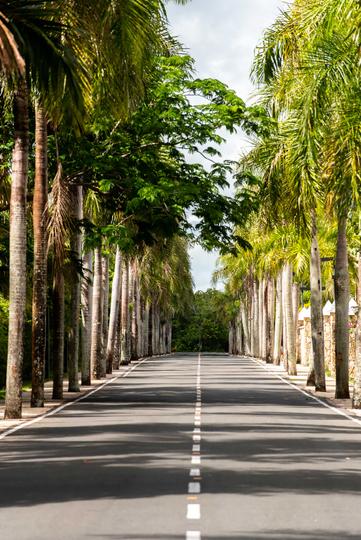 Contact Grand Sirenis Punta Cana Resort Punta Cana